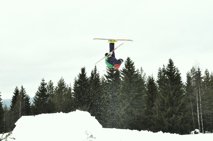 Jibb. Foto: Nasko. Åkare: Hampus ågren.