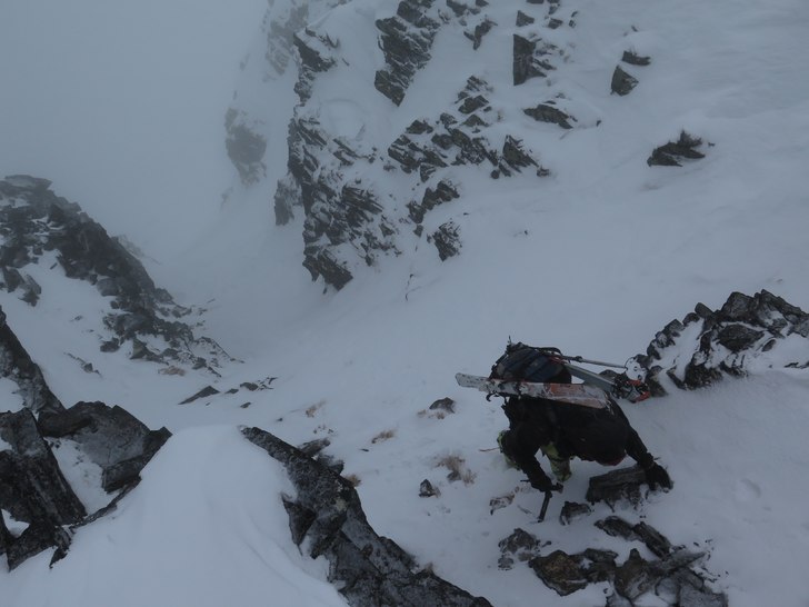 Axel på tunt snötäcke. Foto: tryggve tirén.