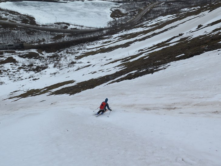 Säsongens nästnästnästnästnästnästnästnäs. Foto: tryggve tirén.
