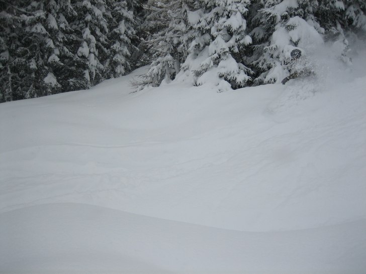 Foto: Marcus Jarlö. Åkare: Tobias Rydberg.