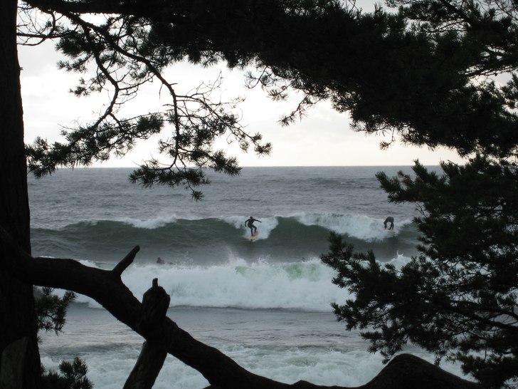 Foto: Johan Isaksson.