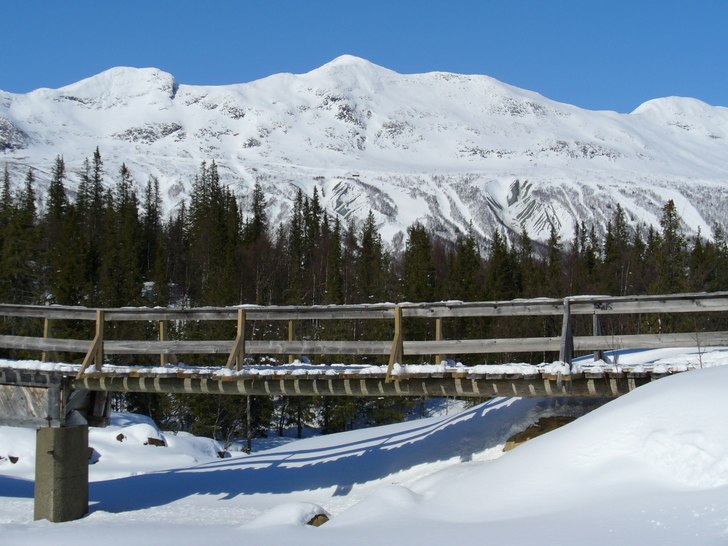 Bästa grillplatsen i Kittel!!!!!!. Foto: Elia Landberg.
