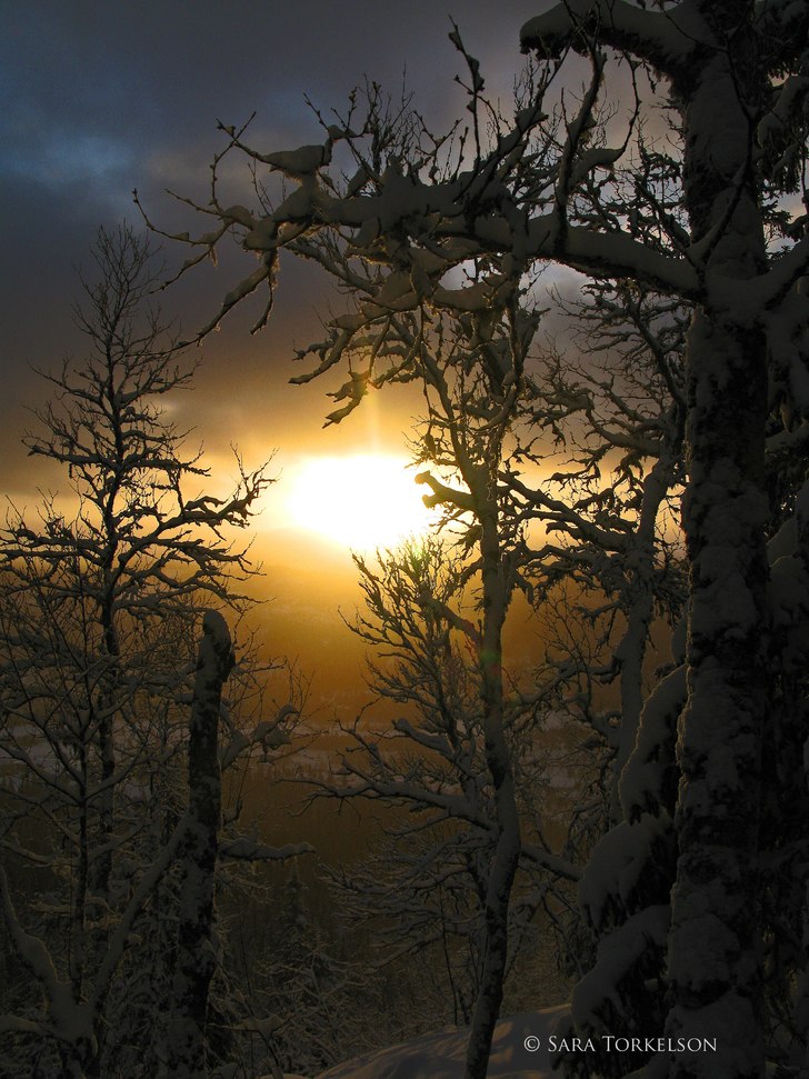 Rikigt nice julafton!. Foto: Sara.