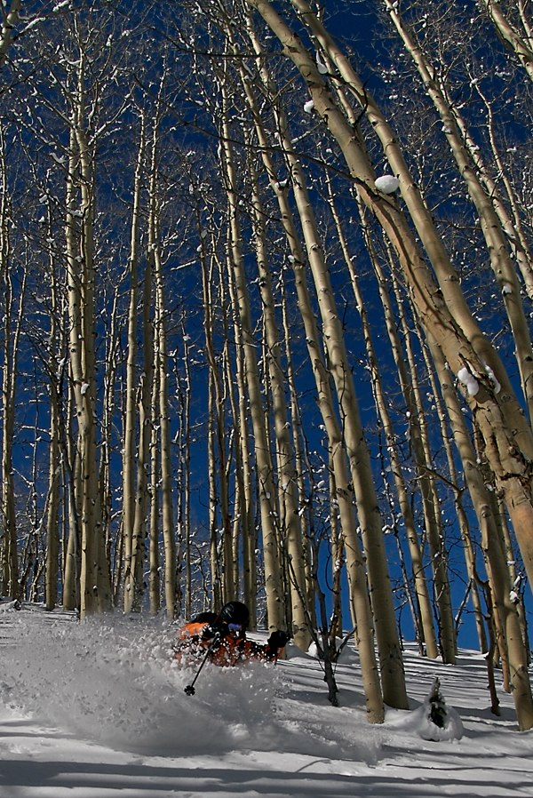 Åker lite mellan asparna i aspen


Bilden komm. Foto: Faaar. Åkare: Simon Pontér.