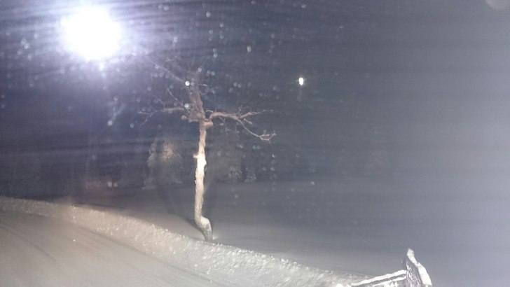 fint på morgenen
Ny tråkket og det snør. lite v.