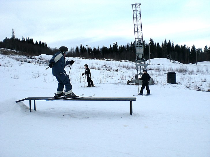Jag på railet i hunflen . Foto: Adam dalsheim. Åkare: Jonathan Gullarberg.
