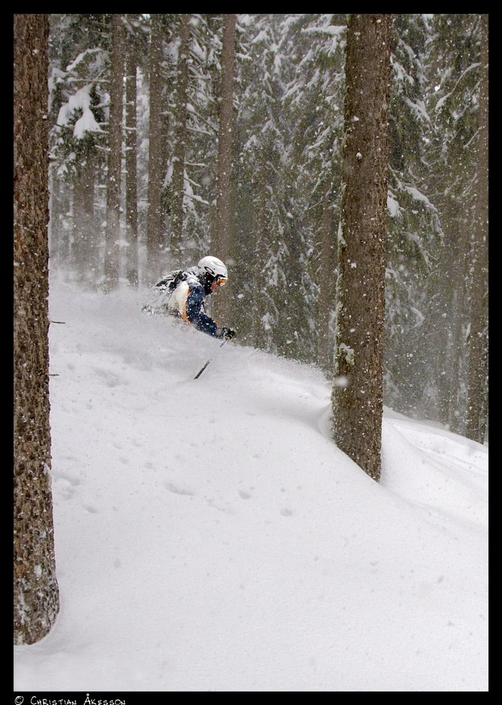 Martin använder träden som portar i det ymniga s. Foto: Christian Åkesson. Åkare: Martin Holm.