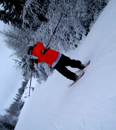 Foto: Nora Carlsson.