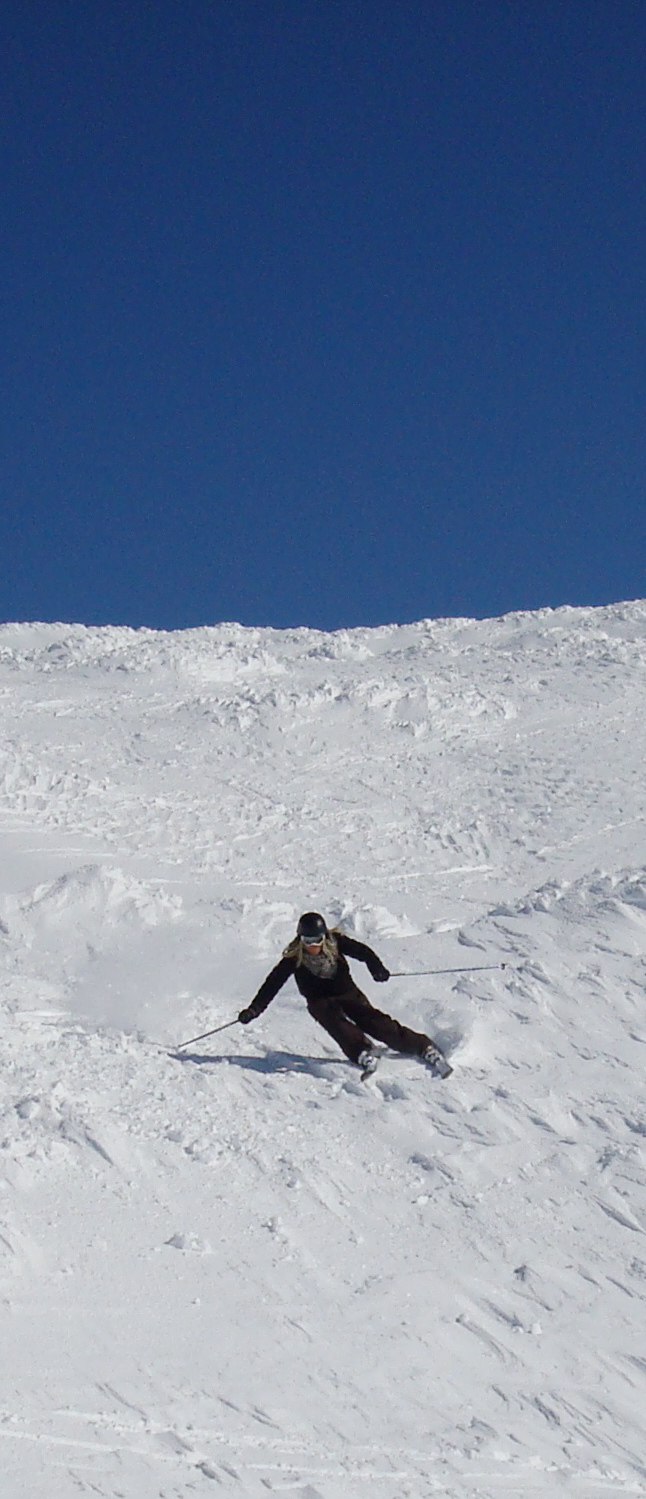 Foto: Alice Eriksson. Åkare: Henrik Norin.