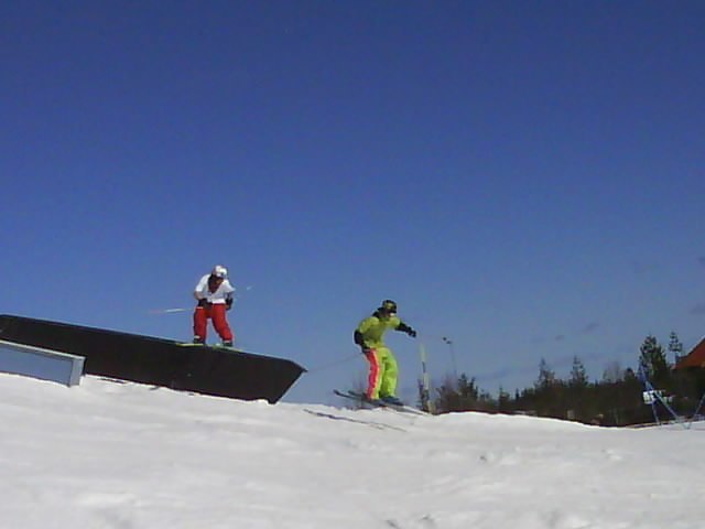 fedtit . Foto: Bill & Bull på G.