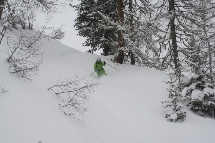 Foto: Simon Gavelin. Åkare: Viktor Fellnäs.