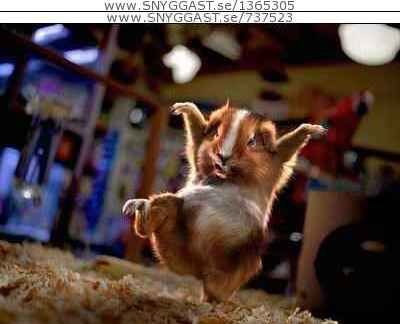 de kan vara kul med karate.... Foto: Jag Haha. Åkare: Han.