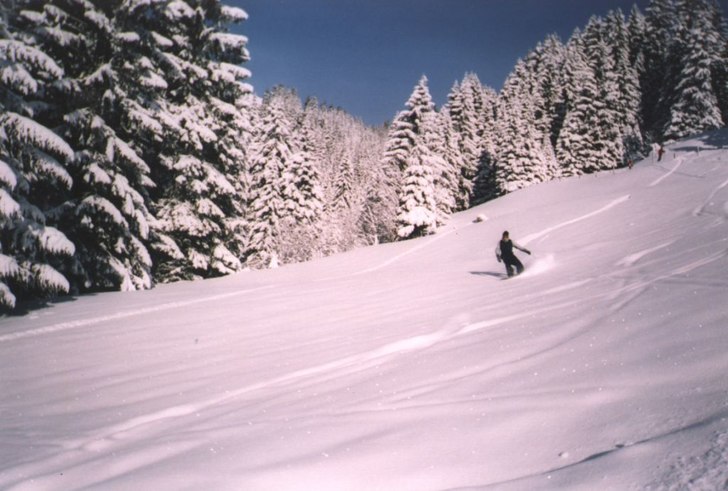 En av många naturupplevelser under veckan som int. Foto: Hendrik Bög. Åkare: Björn Fagergren.