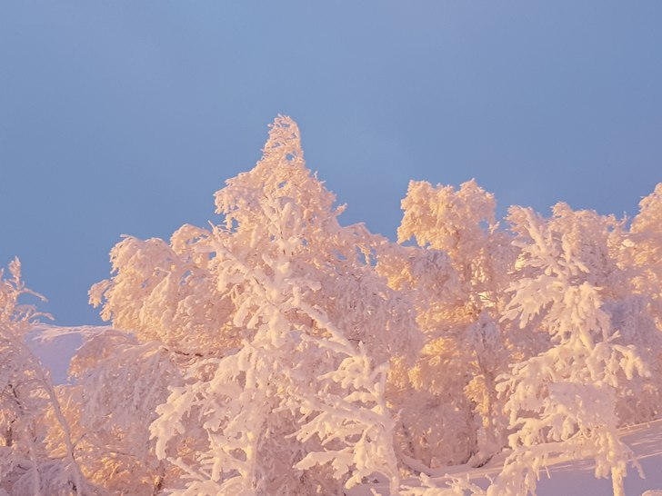 Kittelfjäll 23/12-18. Foto: Patrik Eneling.