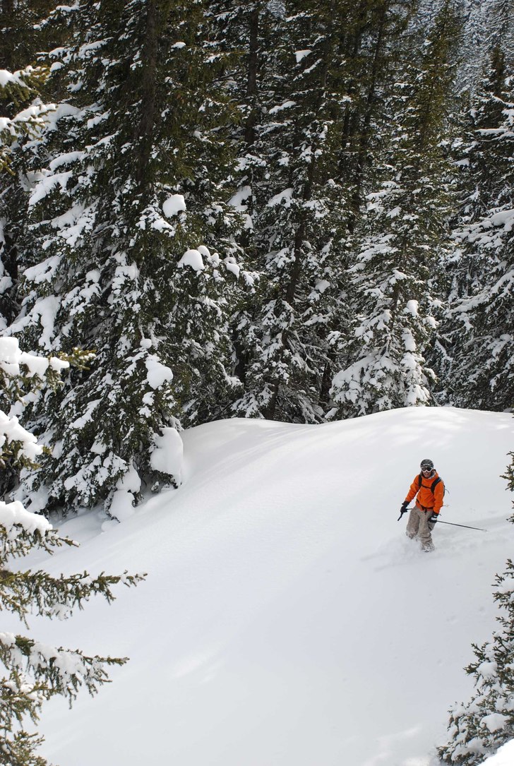 Foto: Alexander Palm. Åkare: krille.