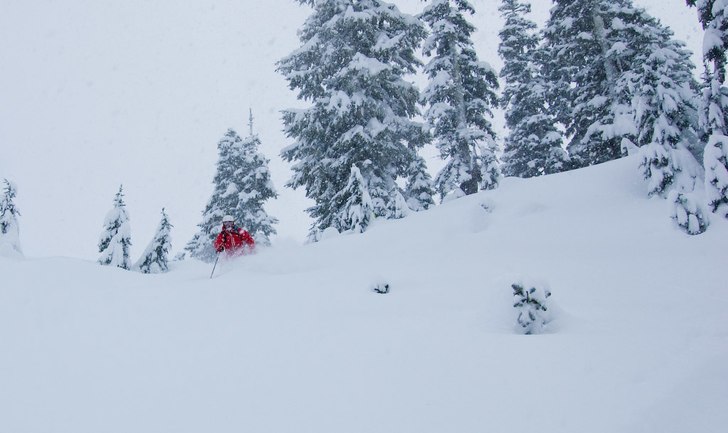 Foto: Andreas Sjöberg. Åkare: Mattias Fredler.