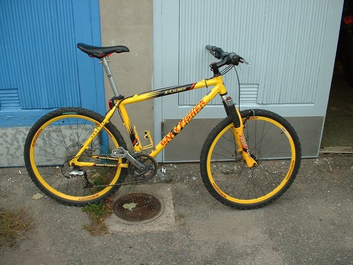 Foto: Niklas Ericsson.