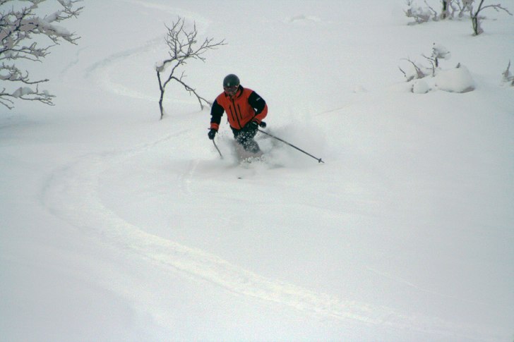 Kotte matar puder. Foto: Michael Gustafsson. Åkare: Pa Essa Konteh.