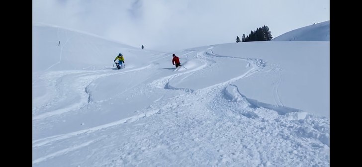 Genom en hage i brunni.