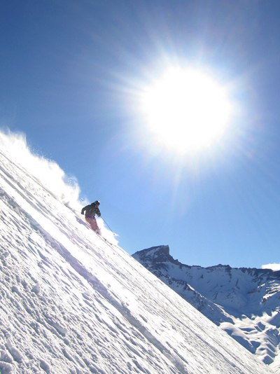 Eduardo. Foto: Torkel Kariolussen. Åkare: Steffen G.