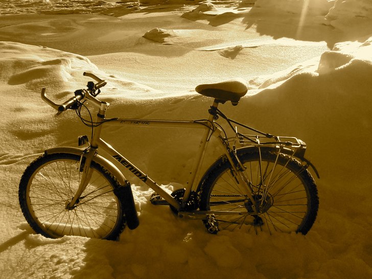 Foto: Ian Archibald.