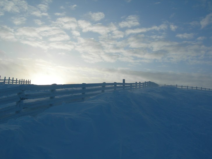Foto: Adam Karlssom.