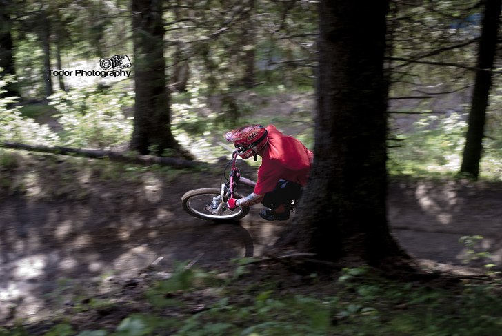 Forest. Foto: Robin Todor. Åkare: Tobben Johansson.