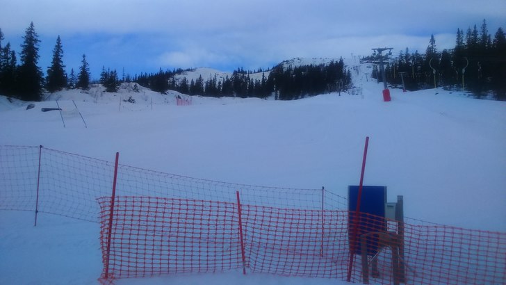 Velkommen til ny dag i Fjellparken
Flotte forhold .