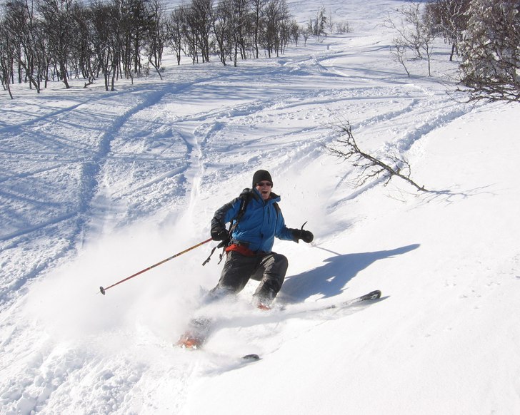 Mats ute på grönbete igen efter en stunds uppeh�. Foto: Tomas Halvarsson. Åkare: Mats Synnersten.