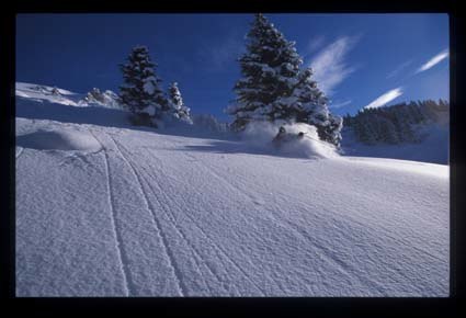 powder to me. Foto: oskarenander.com. Åkare: patrik leidstedt.