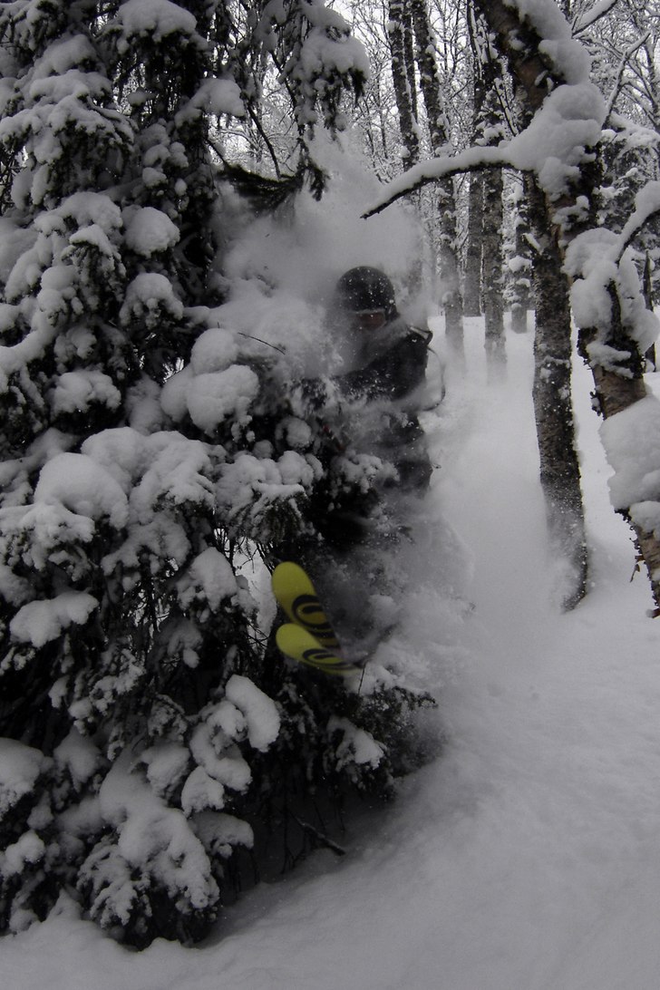 På jakt efter julgran!. Foto: Eric Tengstrand. Åkare: Olle Strandsäter.