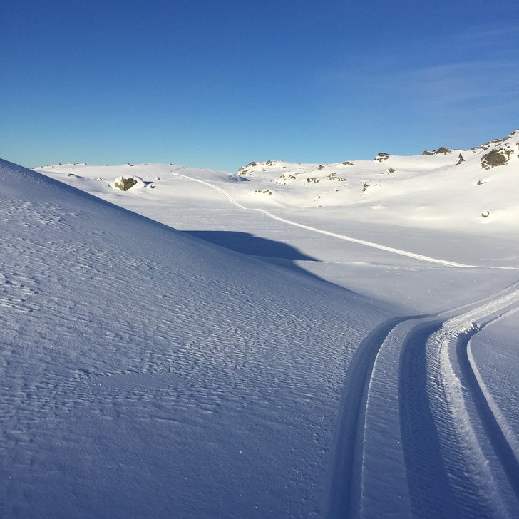 Juleønsker ❄❄❄
Vi ønsker oss snø til Jul .
