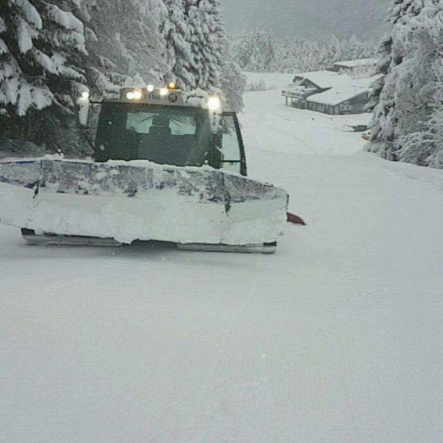 OPEN BAKKE I HELGA
Stryn Vinterski køyrer i gong .