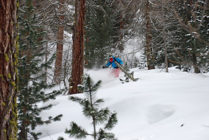 Avslutade dagen med ett åk i skogen. Foto: Martin Wikström. Åkare: Adam Jonsson.