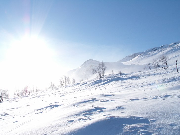 Foto: Simon Björklund.