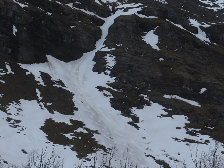 Foto: tryggve tirén.