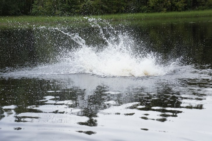 Foto: Felix bävermark.