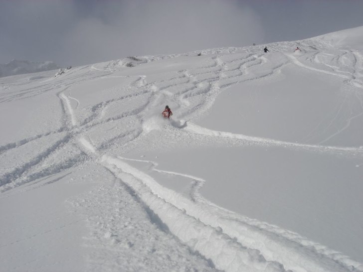 Foto: Ola. Åkare: Jenny Beckman.