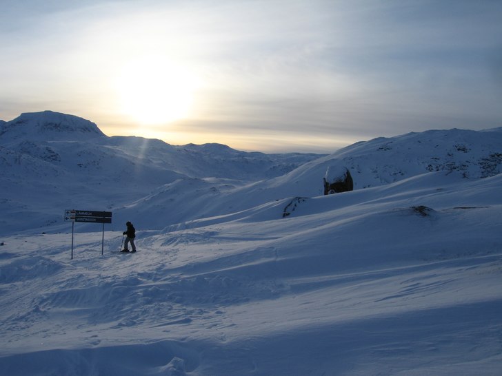 Foto: Per-Erik Hermansson. Åkare: Henrik Hermansoon.