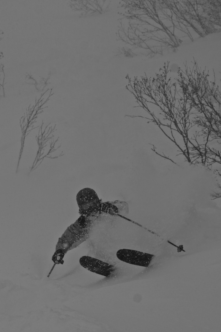 Foto: Felix Grunert. Åkare: Rikard Lindblad.