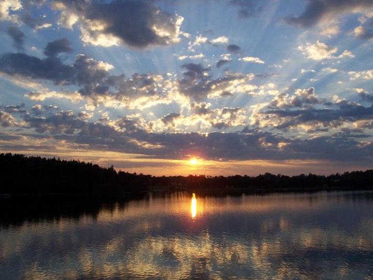 Tagen på landet i Väddö [Norrtälje].. härlig . Foto: Alan.
