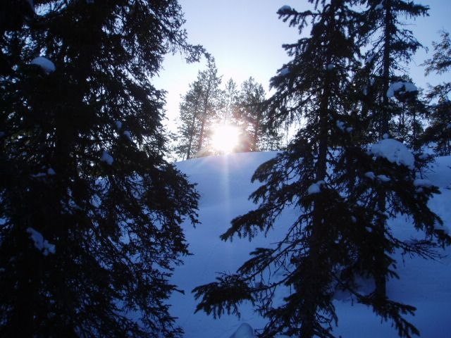 fin skid dag.. Foto: Orre. Åkare: ingen.