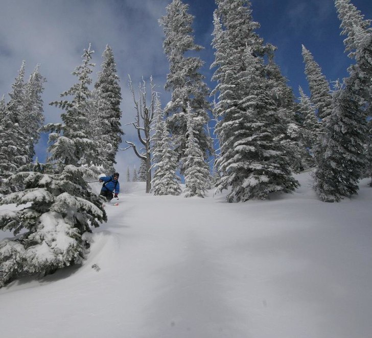 Foto: Nils Hallgren. Åkare: John Hallgren.