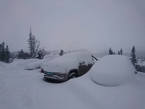 Kaldt vær og pudder!
Heldigvis skal disse ikke gr.
