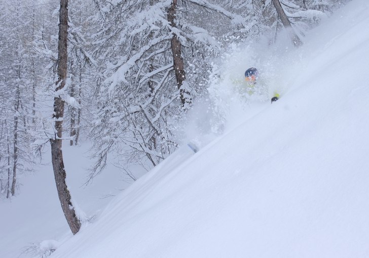 Foto: Gustav Holmer. Åkare: Jerry Bengtsson.
