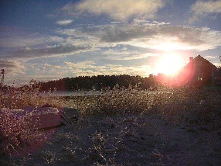 Foto: Sanna Sjöblom.