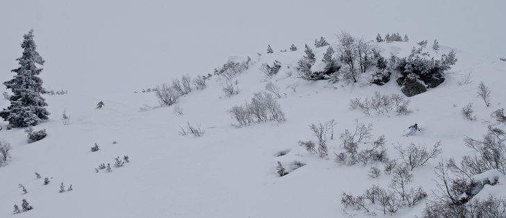 Foto: Felix Grunert. Åkare: Patrik Hammarlund/Rikard Lindblad.