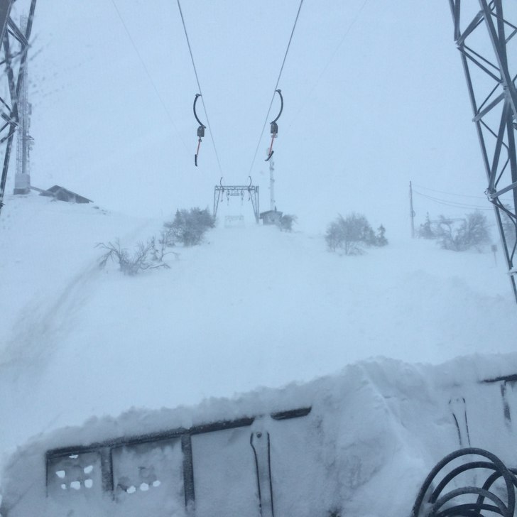 20 cm nysnø
God start på vinterferien med 20 cm .