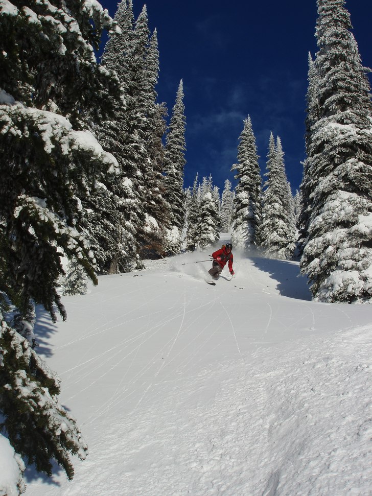 Bättre skog får man leta efter!. Foto: Magnus Johnson. Åkare: Olle Sjölin.