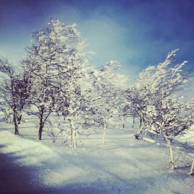 Foto: hampus fjällstedt.